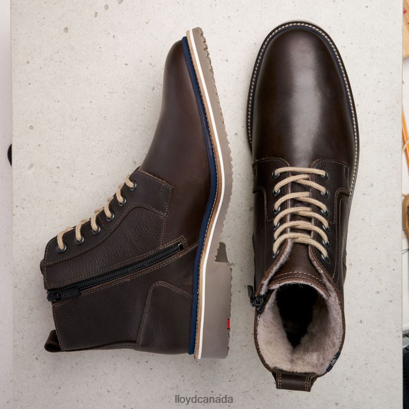 VIDAL LLOYD Men brown R084ZF518 Shoes