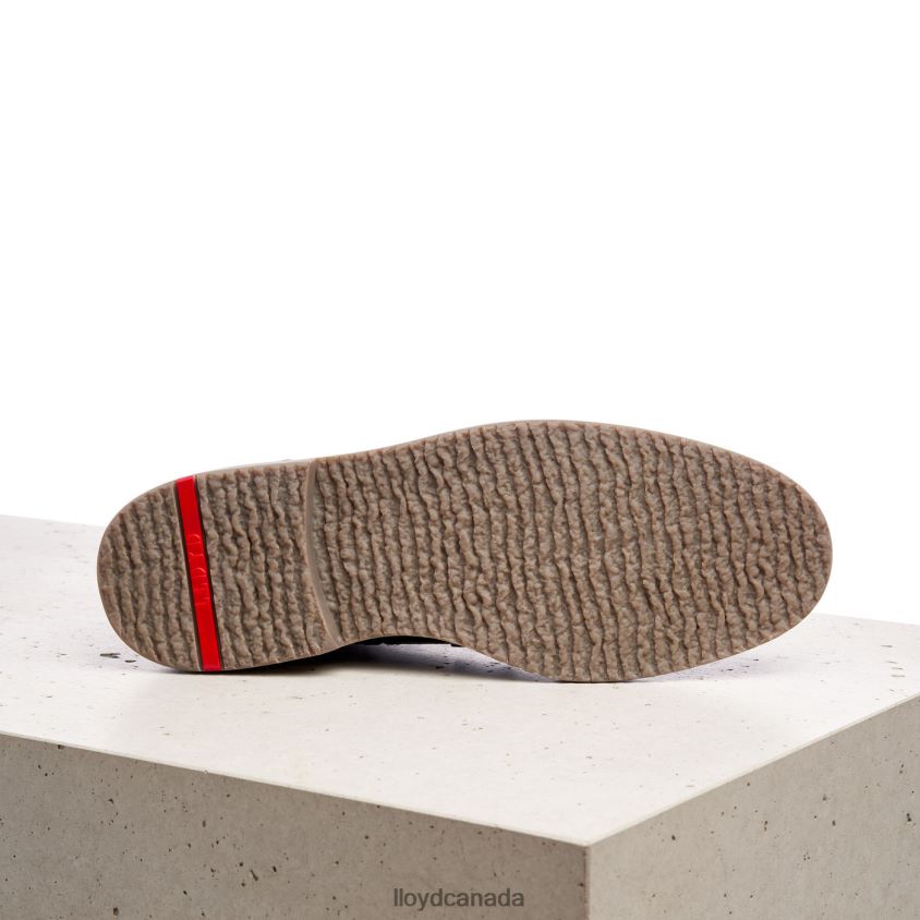 VIDAL LLOYD Men brown R084ZF518 Shoes