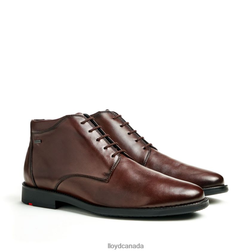 VINEY LLOYD Men brown R084ZF528 Shoes