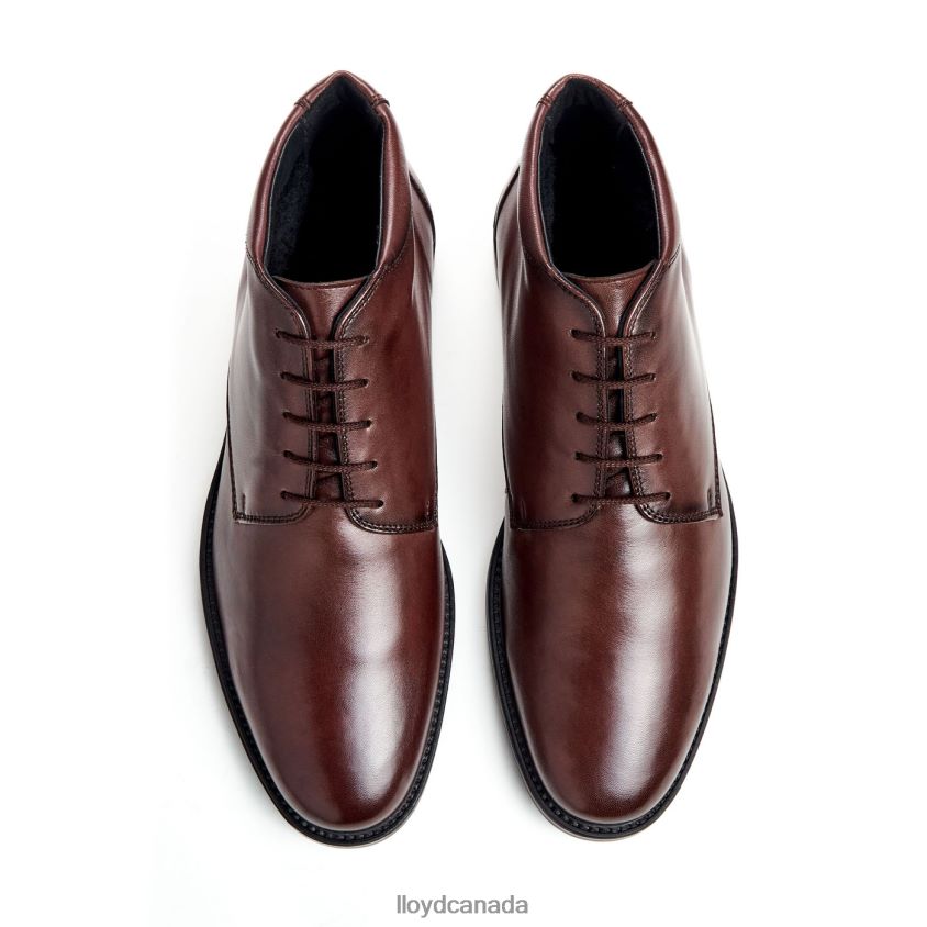 VINEY LLOYD Men brown R084ZF528 Shoes