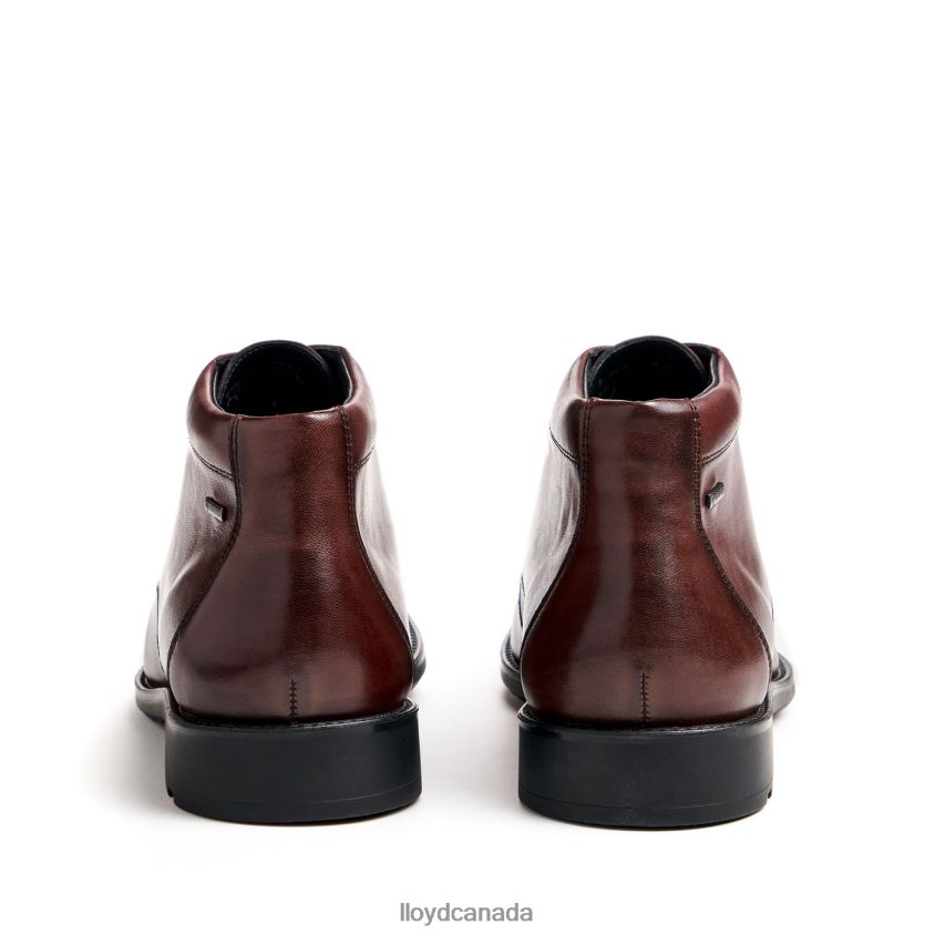 VINEY LLOYD Men brown R084ZF528 Shoes