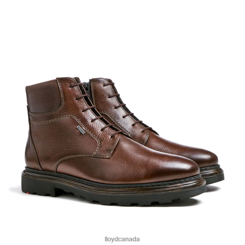VINE LLOYD Men brown R084ZF513 Shoes