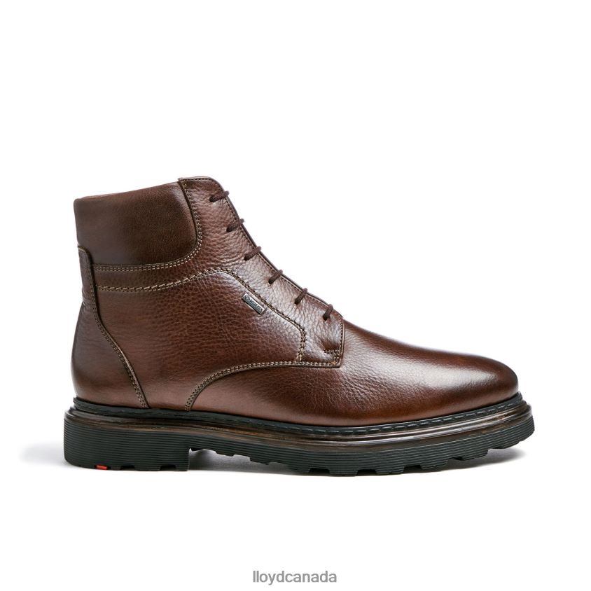 VINE LLOYD Men brown R084ZF513 Shoes