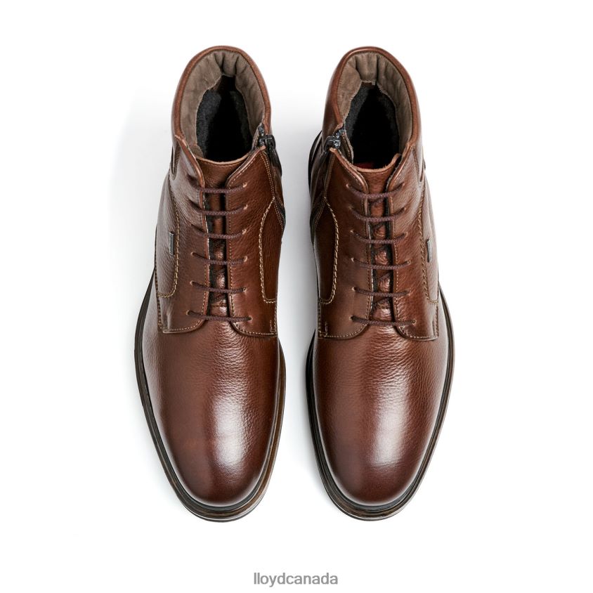 VINE LLOYD Men brown R084ZF513 Shoes