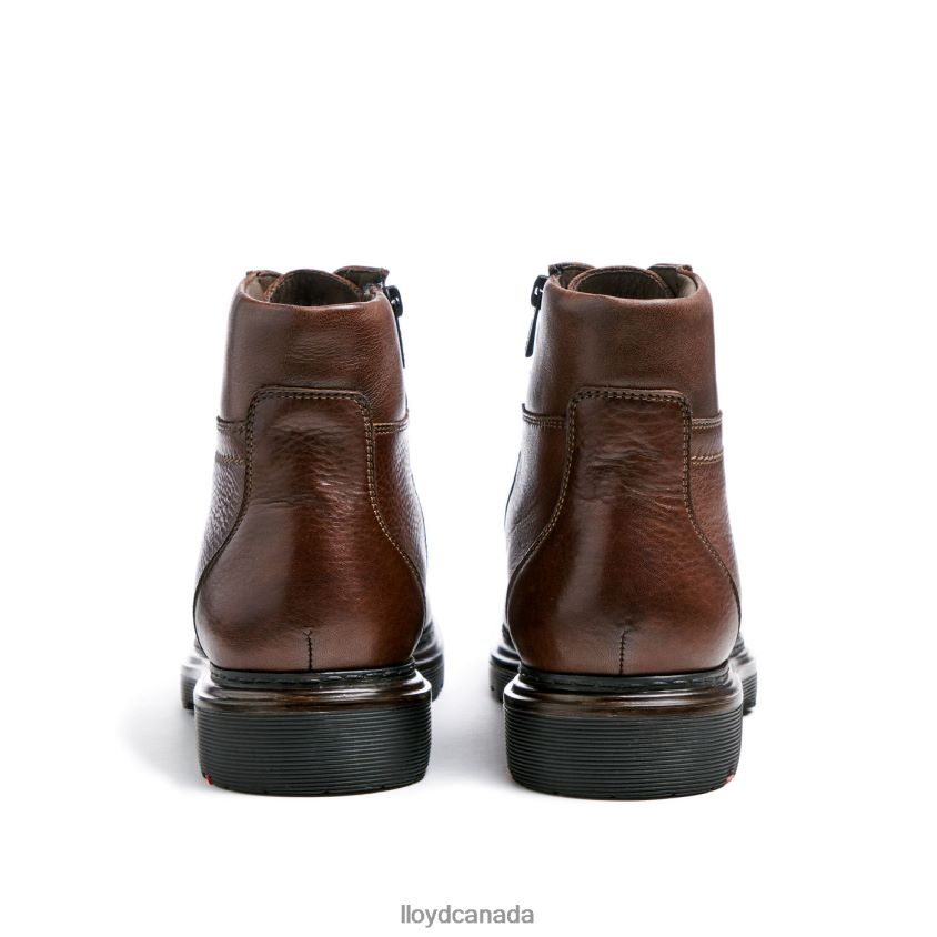VINE LLOYD Men brown R084ZF513 Shoes