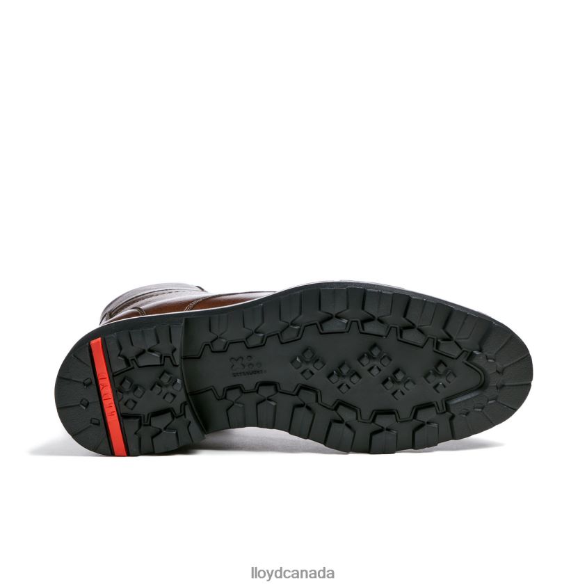 VINE LLOYD Men brown R084ZF513 Shoes