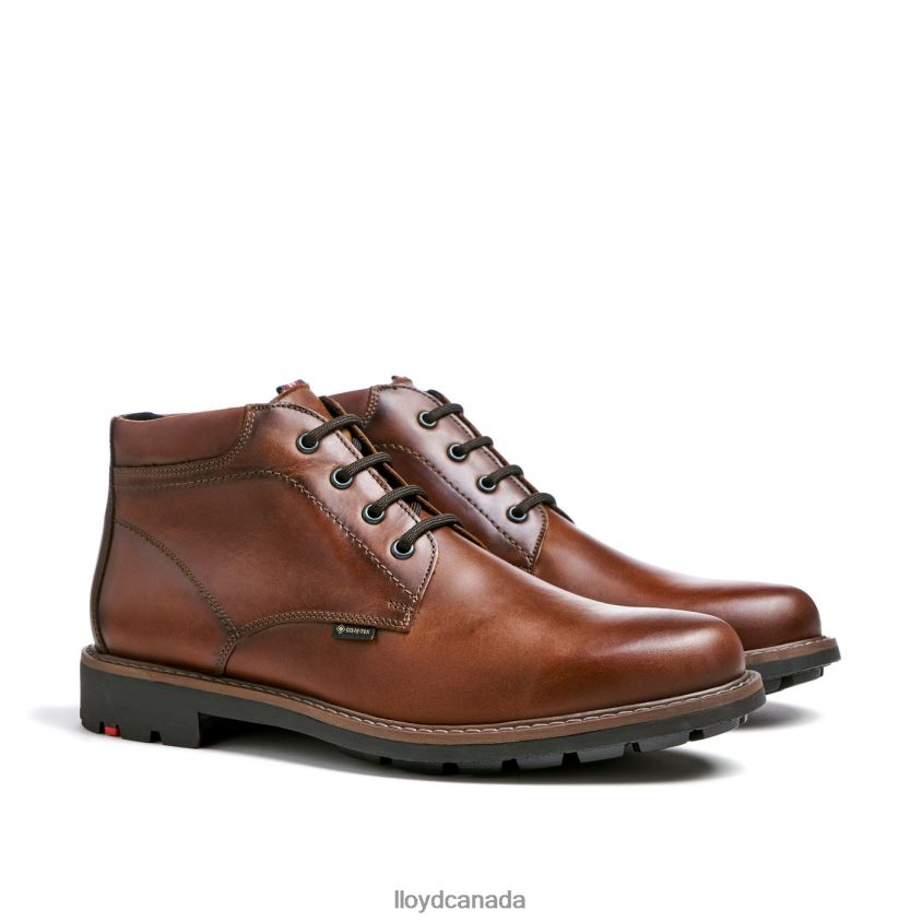 VISCO LLOYD Men brown R084ZF515 Shoes