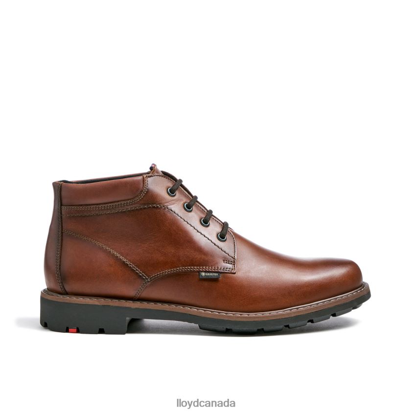 VISCO LLOYD Men brown R084ZF515 Shoes