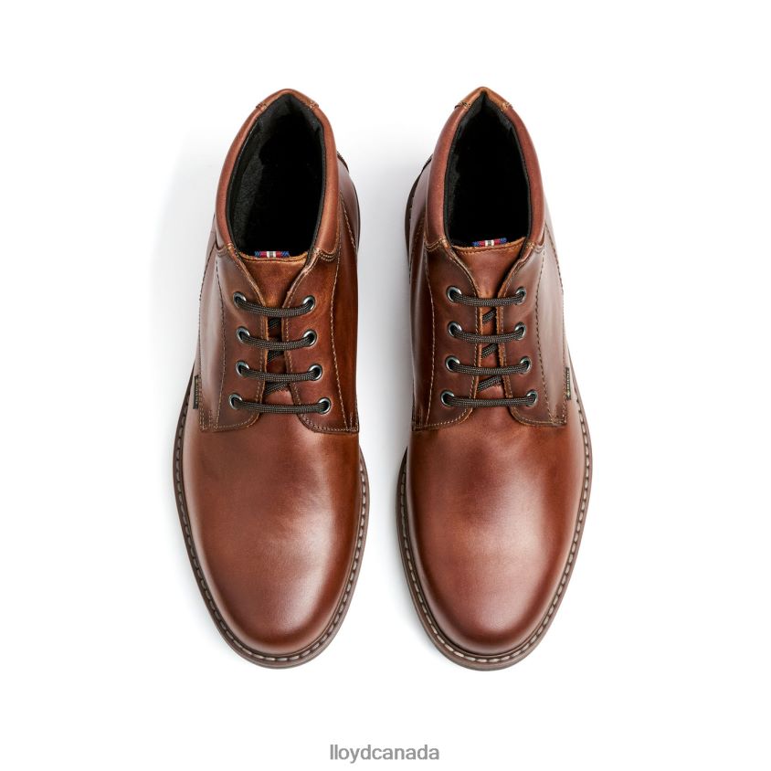 VISCO LLOYD Men brown R084ZF515 Shoes