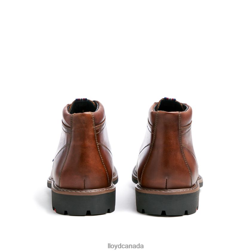 VISCO LLOYD Men brown R084ZF515 Shoes