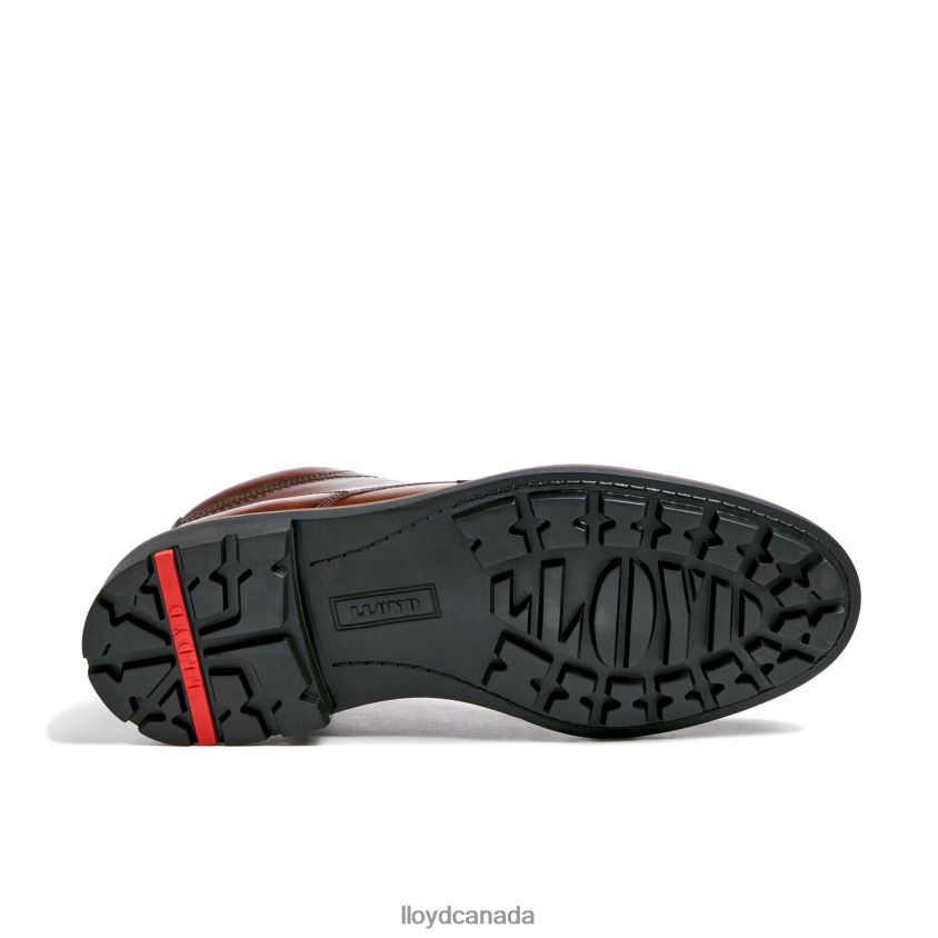 VISCO LLOYD Men brown R084ZF515 Shoes