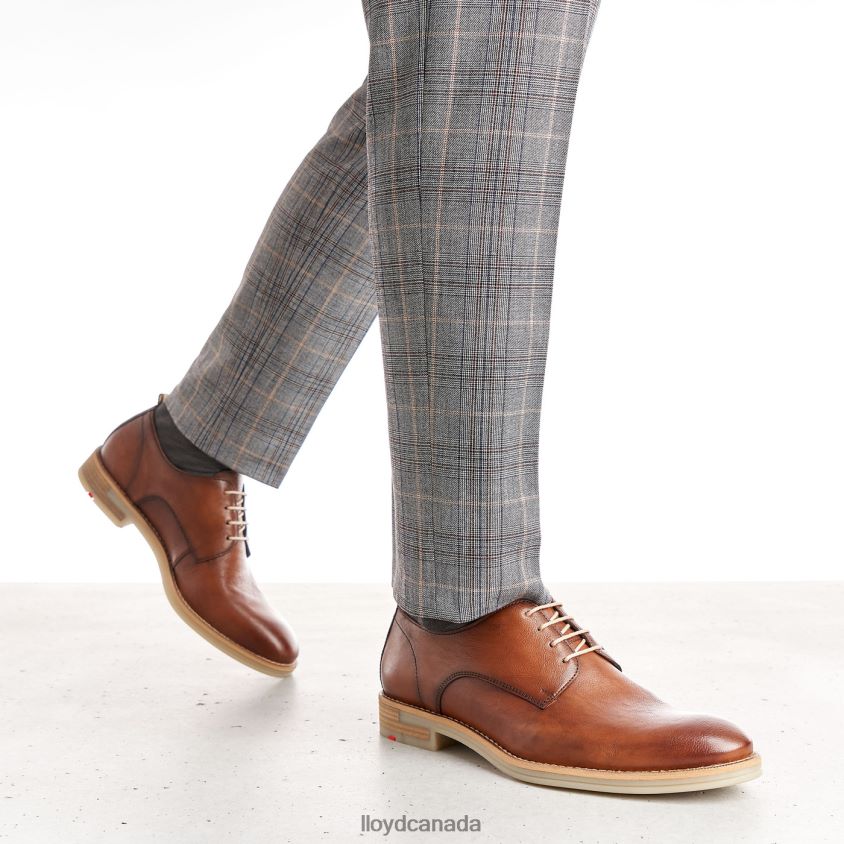 DAKOTA LLOYD Men brown R084ZF608 Shoes