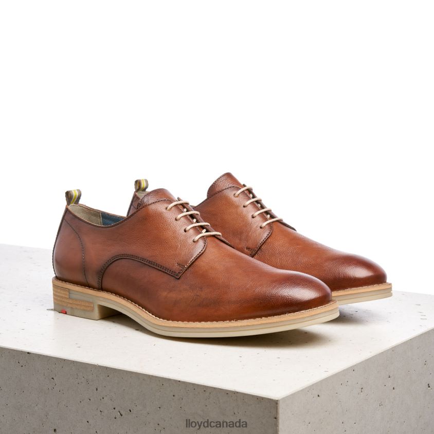 DAKOTA LLOYD Men brown R084ZF608 Shoes