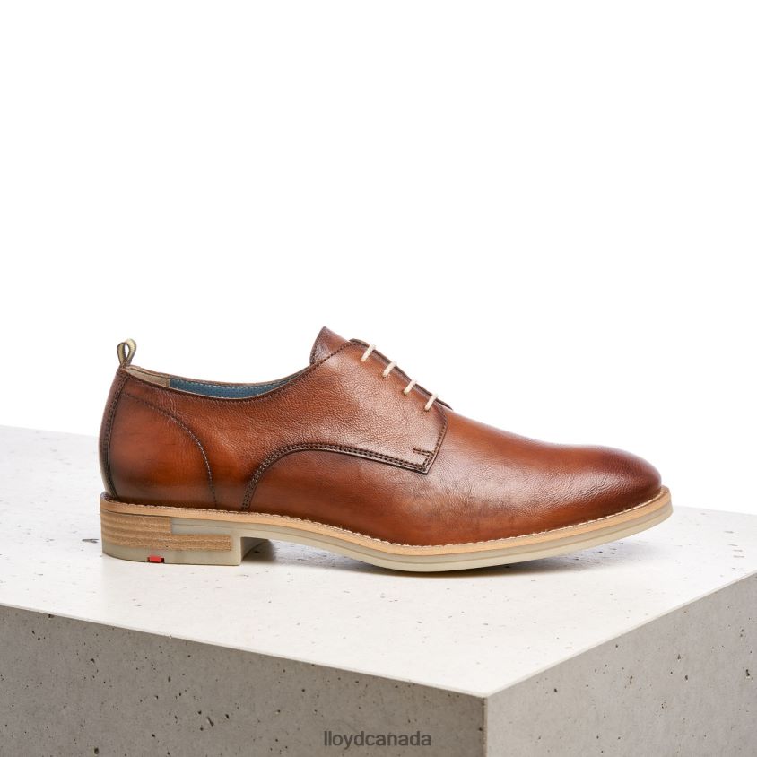 DAKOTA LLOYD Men brown R084ZF608 Shoes