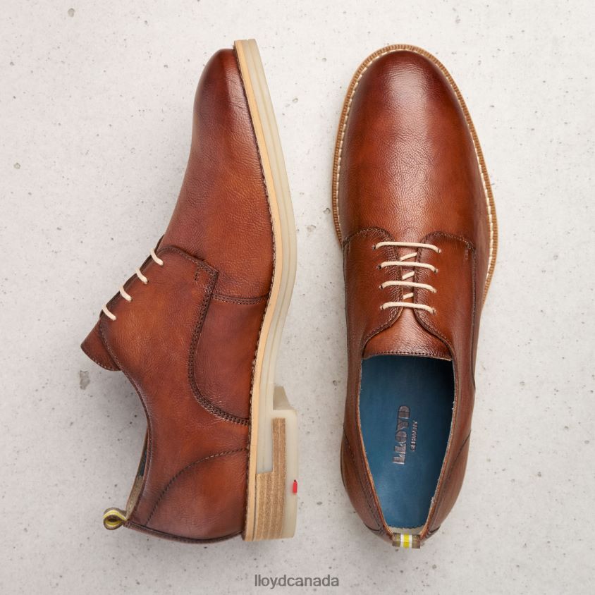 DAKOTA LLOYD Men brown R084ZF608 Shoes