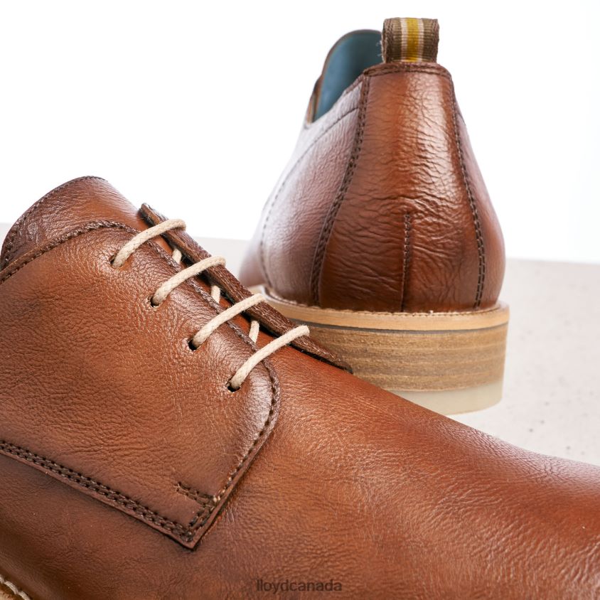 DAKOTA LLOYD Men brown R084ZF608 Shoes