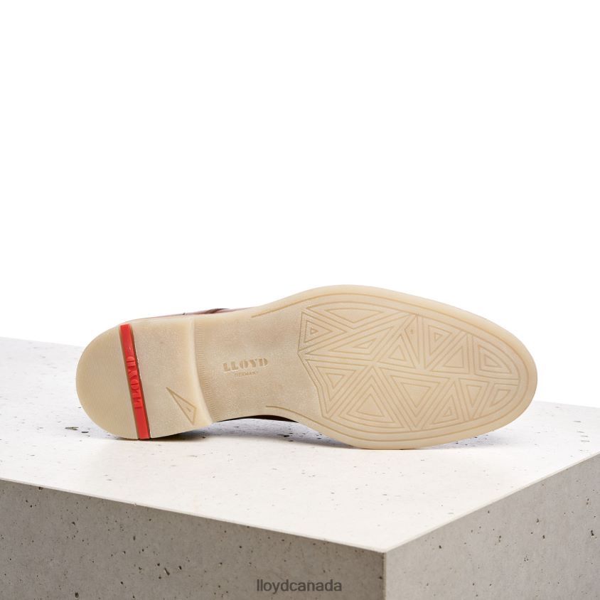 DAKOTA LLOYD Men brown R084ZF608 Shoes