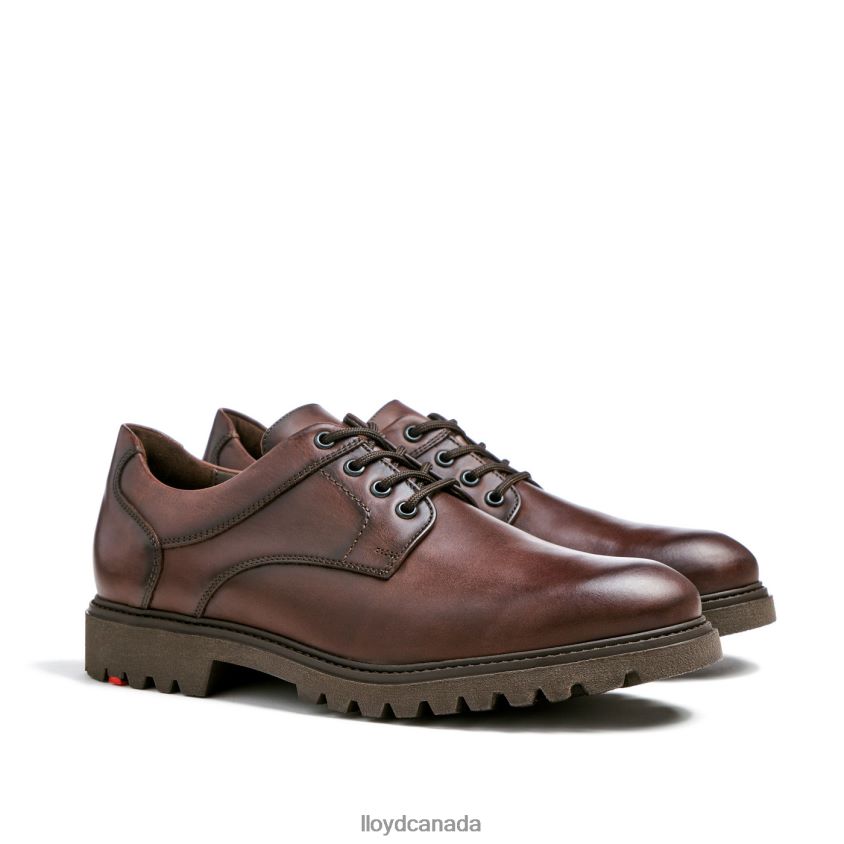 DALTON LLOYD Men brown R084ZF39 Shoes