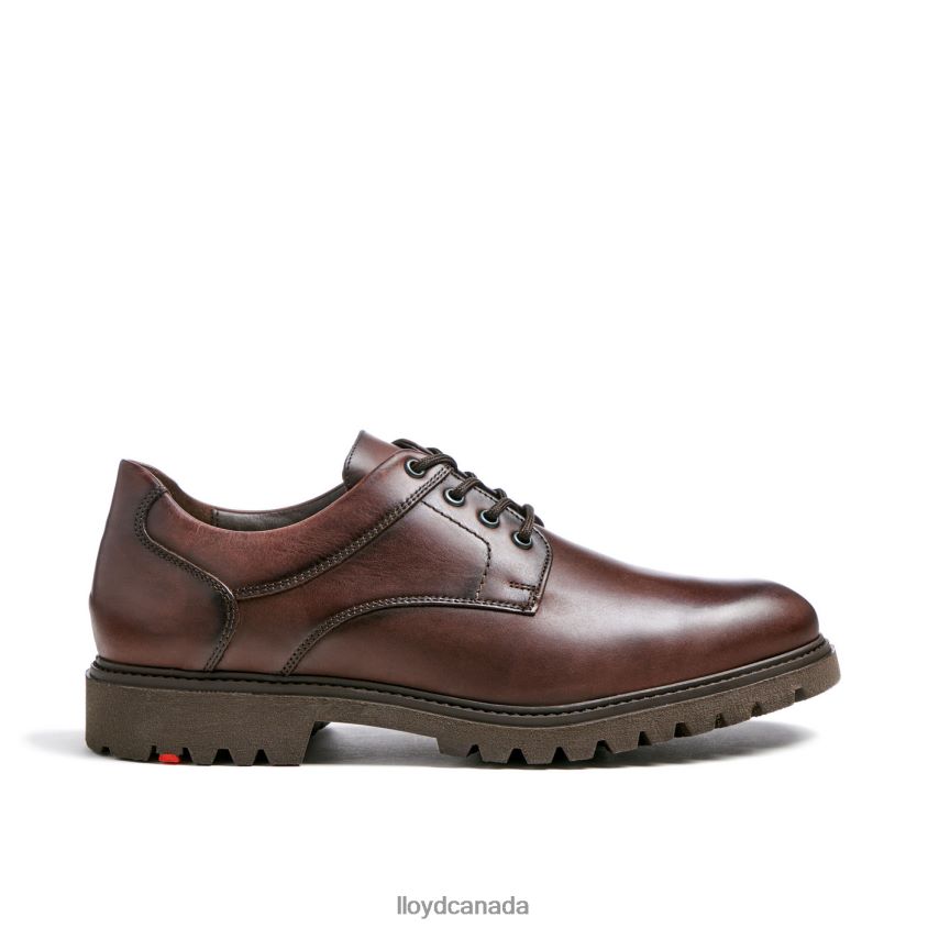 DALTON LLOYD Men brown R084ZF39 Shoes