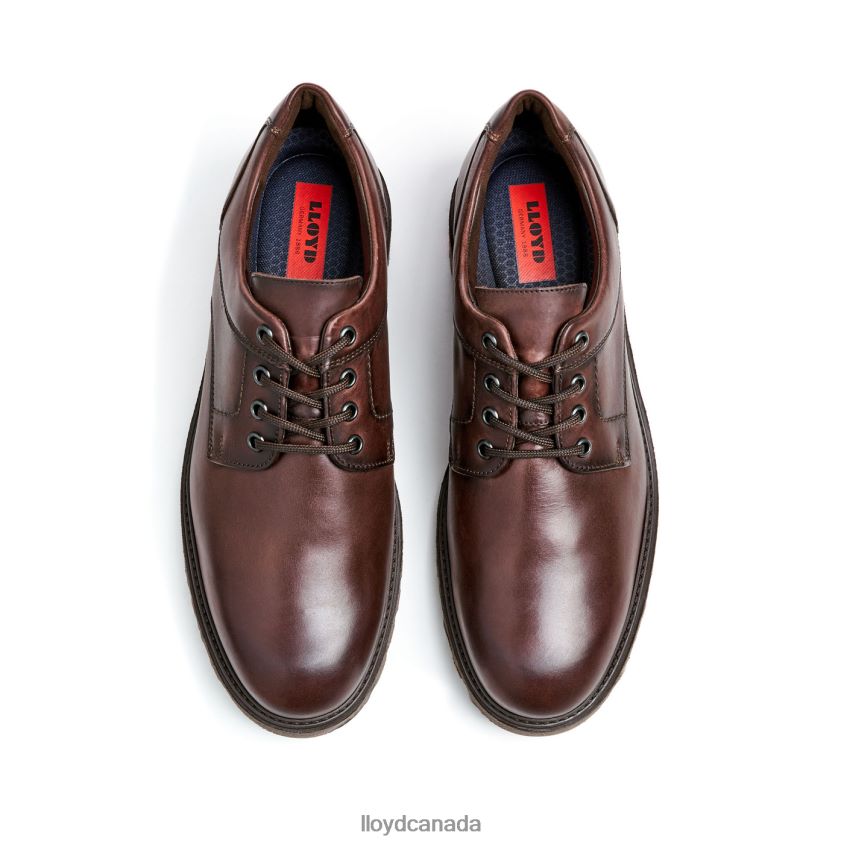 DALTON LLOYD Men brown R084ZF39 Shoes