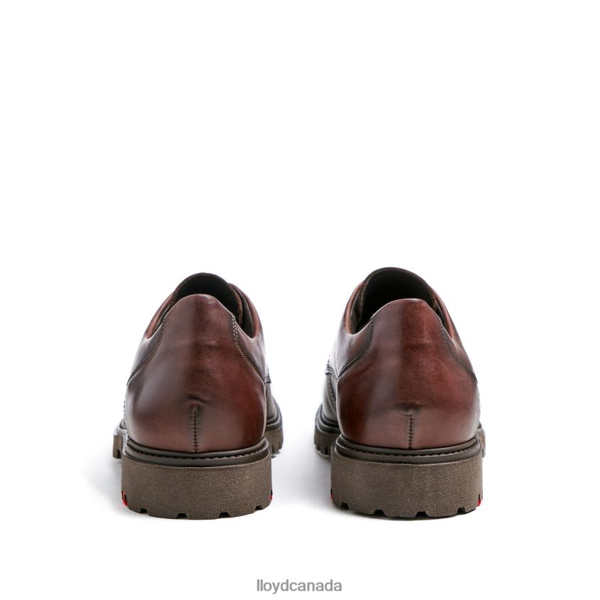 DALTON LLOYD Men brown R084ZF39 Shoes