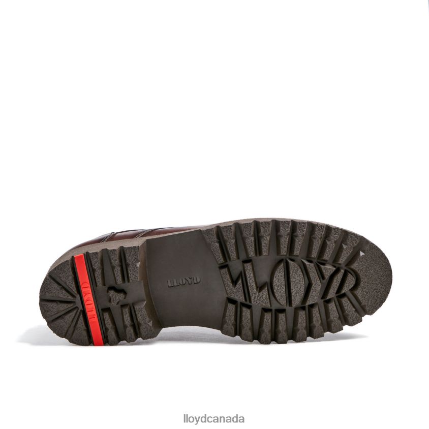 DALTON LLOYD Men brown R084ZF39 Shoes