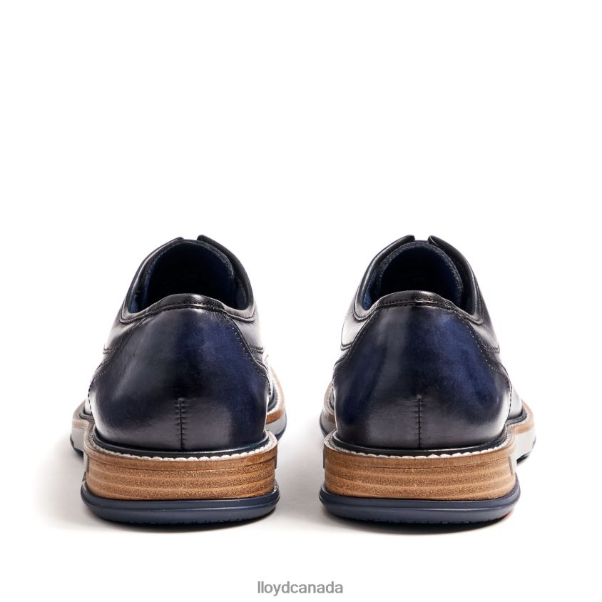 DAMON LLOYD Men blue R084ZF229 Shoes