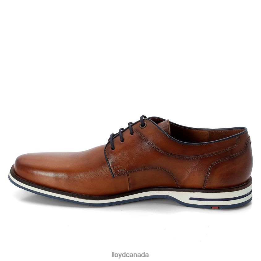 DANJAAN LLOYD Men brown R084ZF609 Shoes