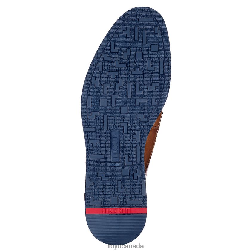 DANJAAN LLOYD Men brown R084ZF609 Shoes