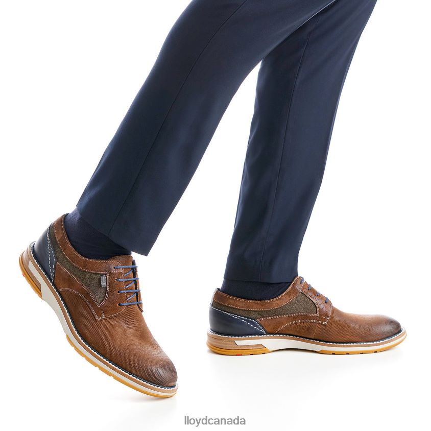 DARRIS LLOYD Men brown R084ZF588 Shoes