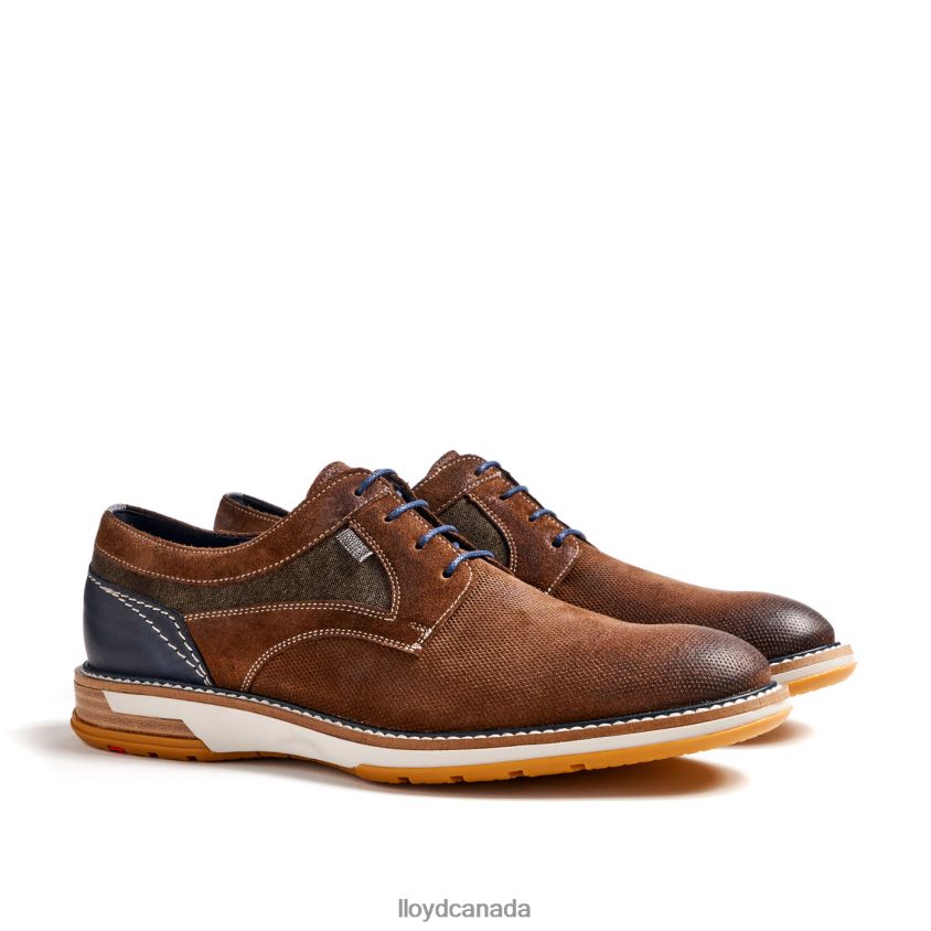 DARRIS LLOYD Men brown R084ZF588 Shoes