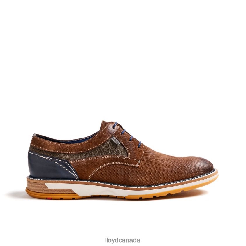 DARRIS LLOYD Men brown R084ZF588 Shoes