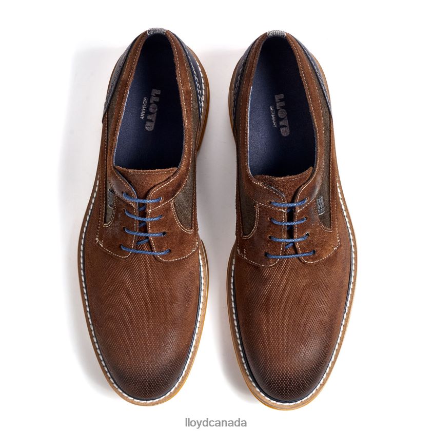 DARRIS LLOYD Men brown R084ZF588 Shoes