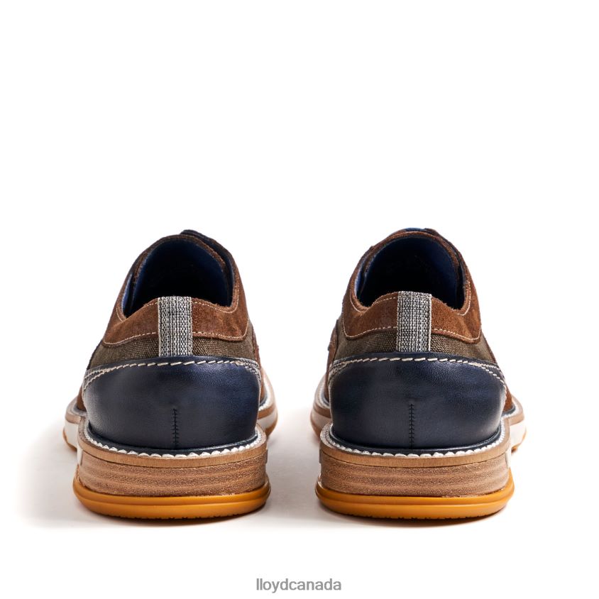 DARRIS LLOYD Men brown R084ZF588 Shoes