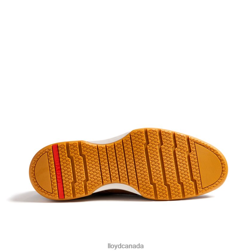 DARRIS LLOYD Men brown R084ZF588 Shoes