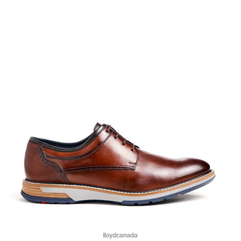 DERO LLOYD Men brown R084ZF45 Shoes