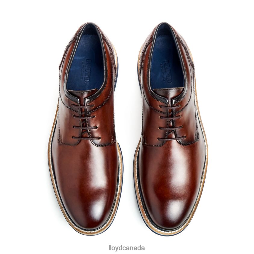 DERO LLOYD Men brown R084ZF45 Shoes
