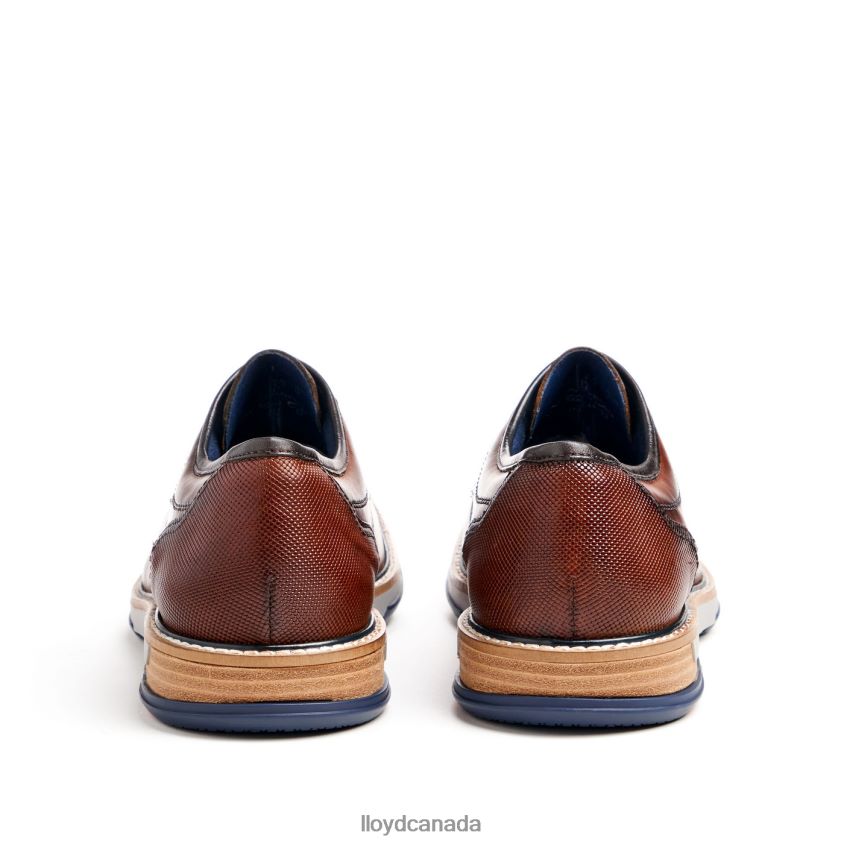 DERO LLOYD Men brown R084ZF45 Shoes