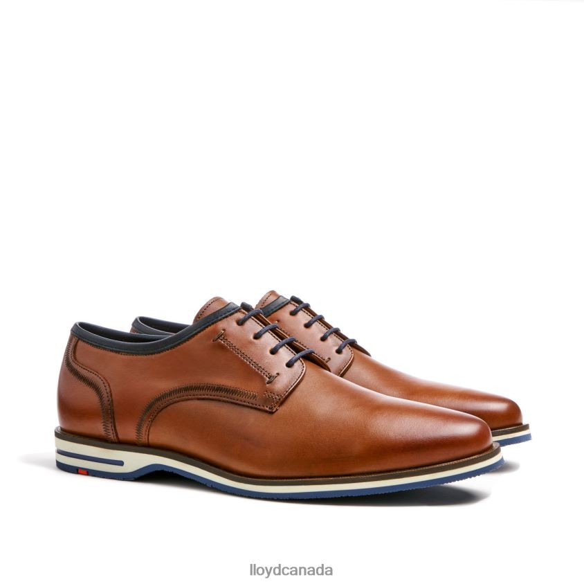 DETROIT LLOYD Men brown R084ZF113 Shoes