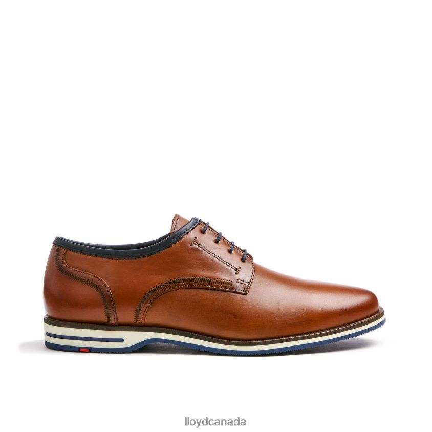 DETROIT LLOYD Men brown R084ZF113 Shoes