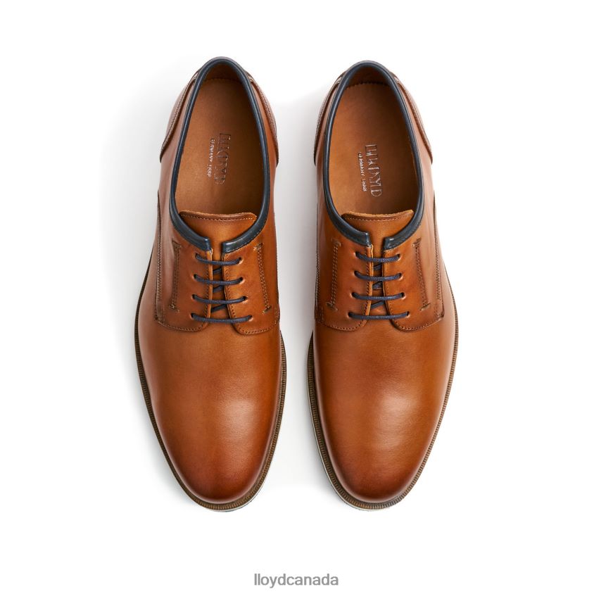 DETROIT LLOYD Men brown R084ZF113 Shoes