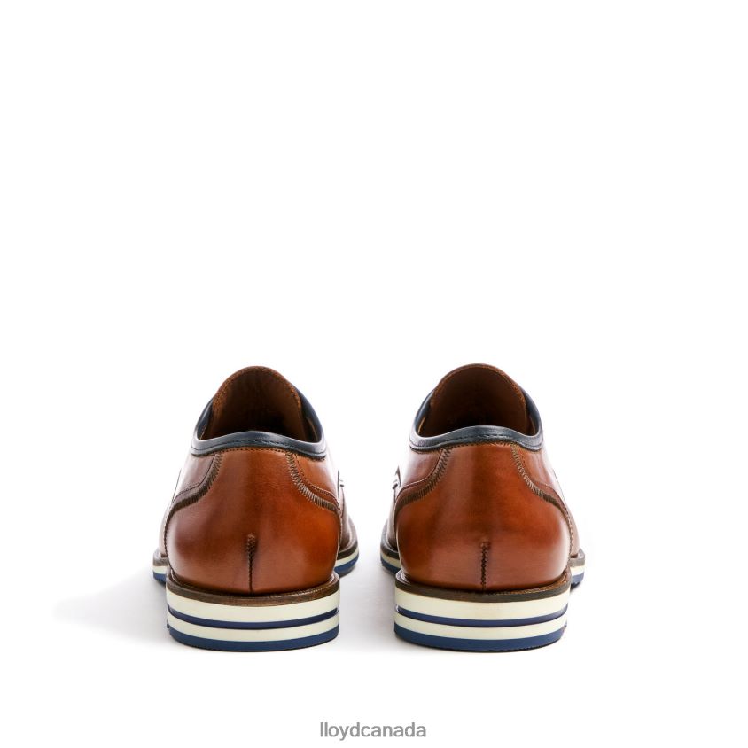 DETROIT LLOYD Men brown R084ZF113 Shoes