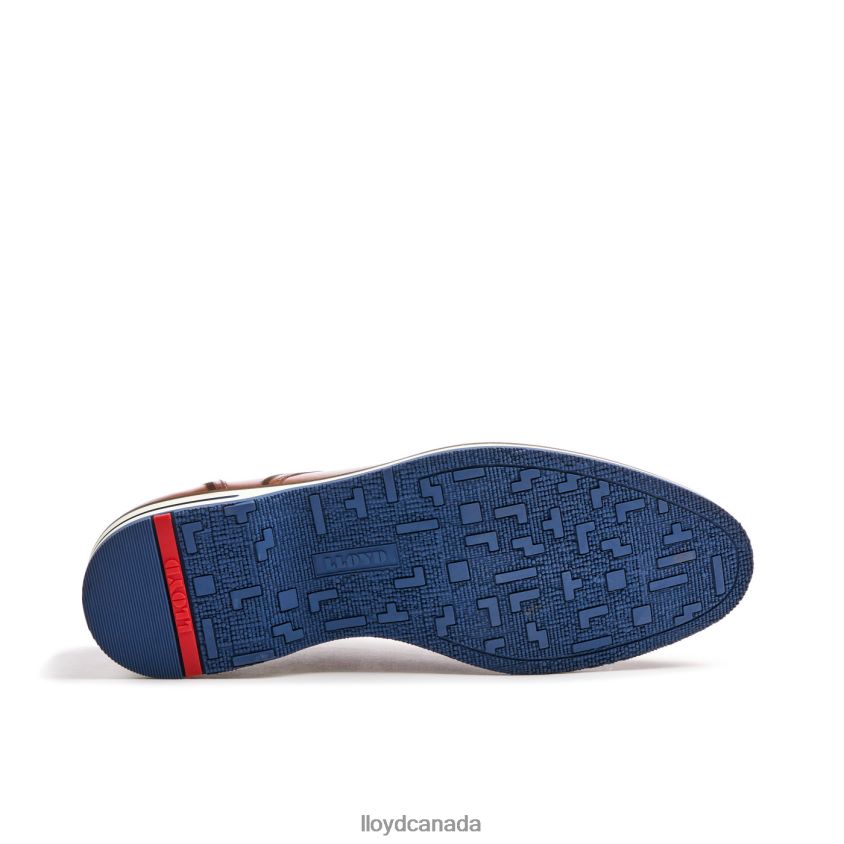 DETROIT LLOYD Men brown R084ZF113 Shoes