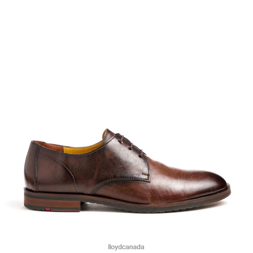DORIAN LLOYD Men brown R084ZF37 Shoes