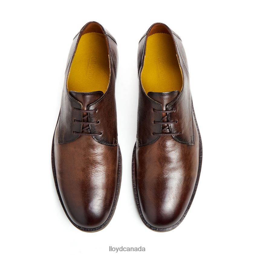 DORIAN LLOYD Men brown R084ZF37 Shoes