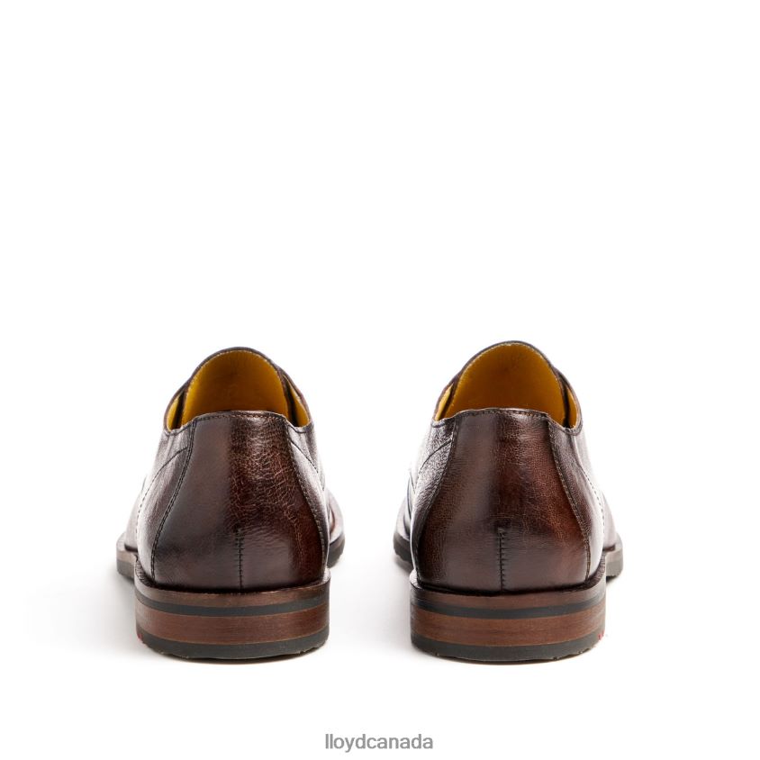DORIAN LLOYD Men brown R084ZF37 Shoes