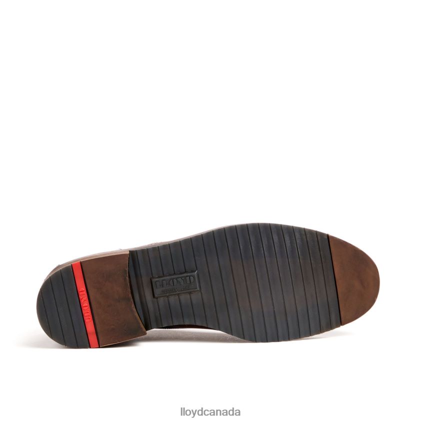 DORIAN LLOYD Men brown R084ZF37 Shoes