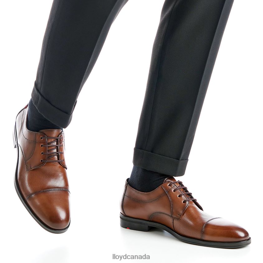 FOLCO LLOYD Men brown R084ZF15 Shoes