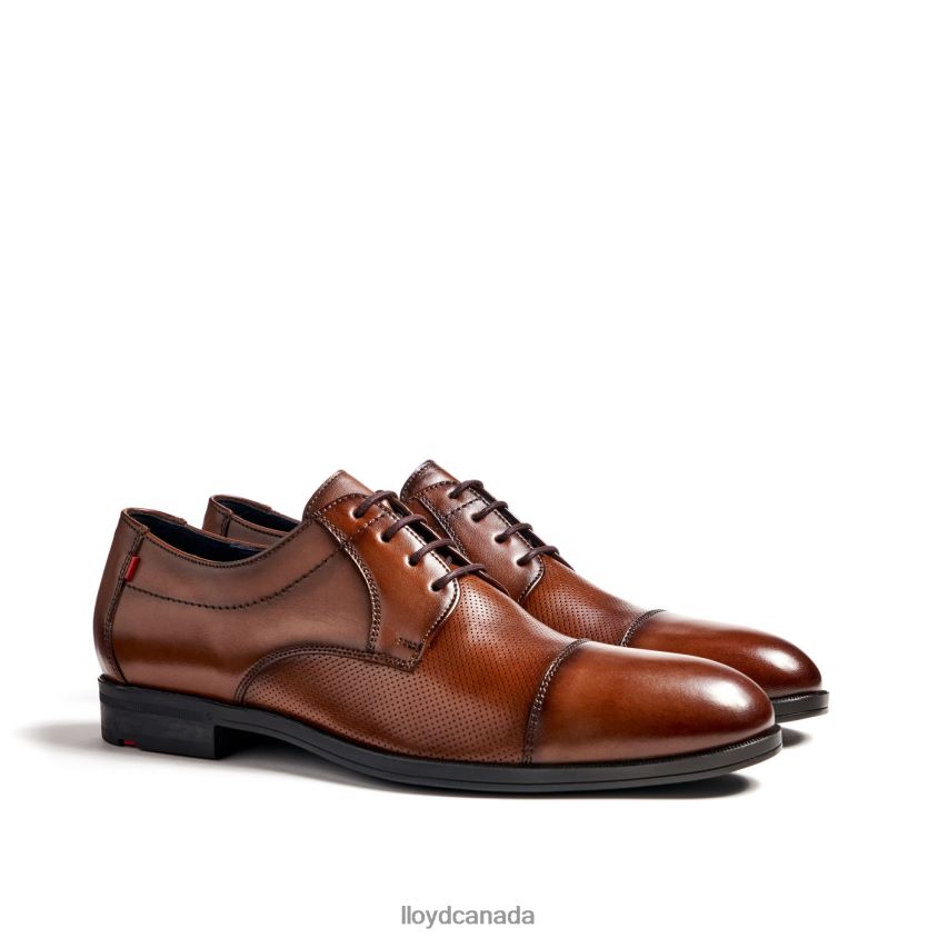 FOLCO LLOYD Men brown R084ZF15 Shoes