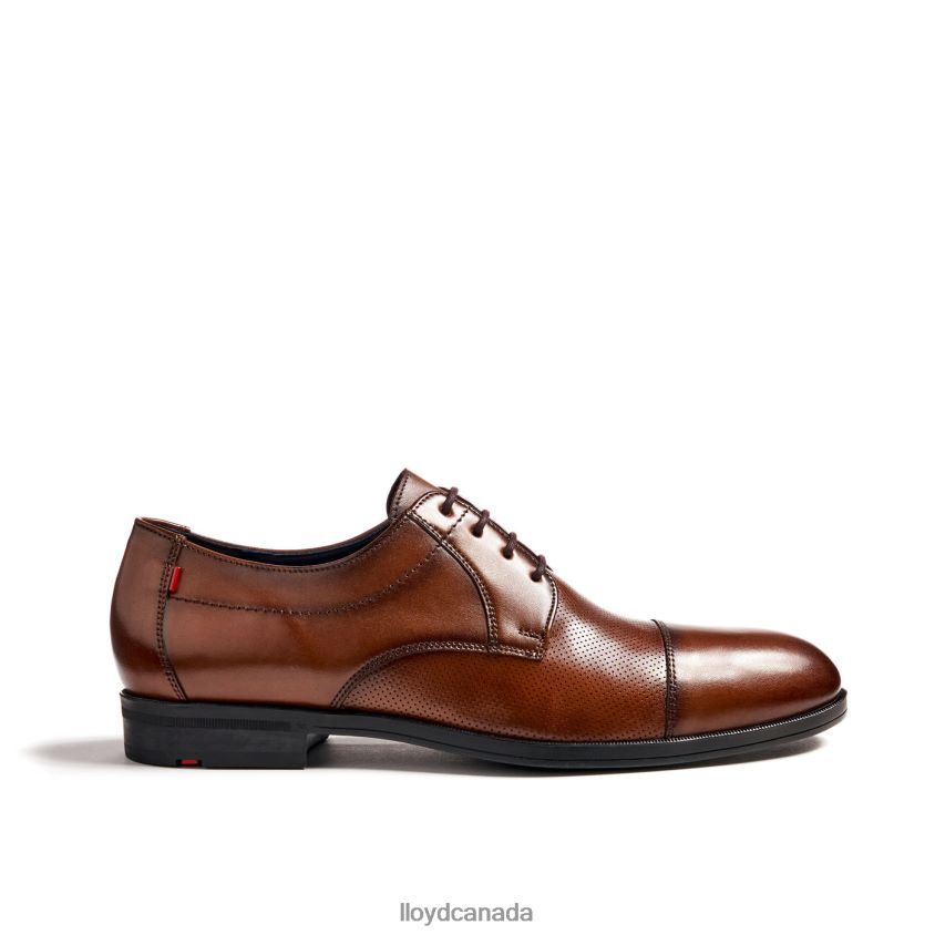 FOLCO LLOYD Men brown R084ZF15 Shoes